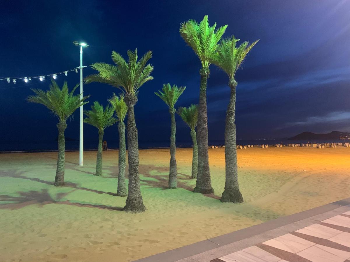 Pink Beach 베니돔 외부 사진